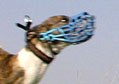 Pic 2